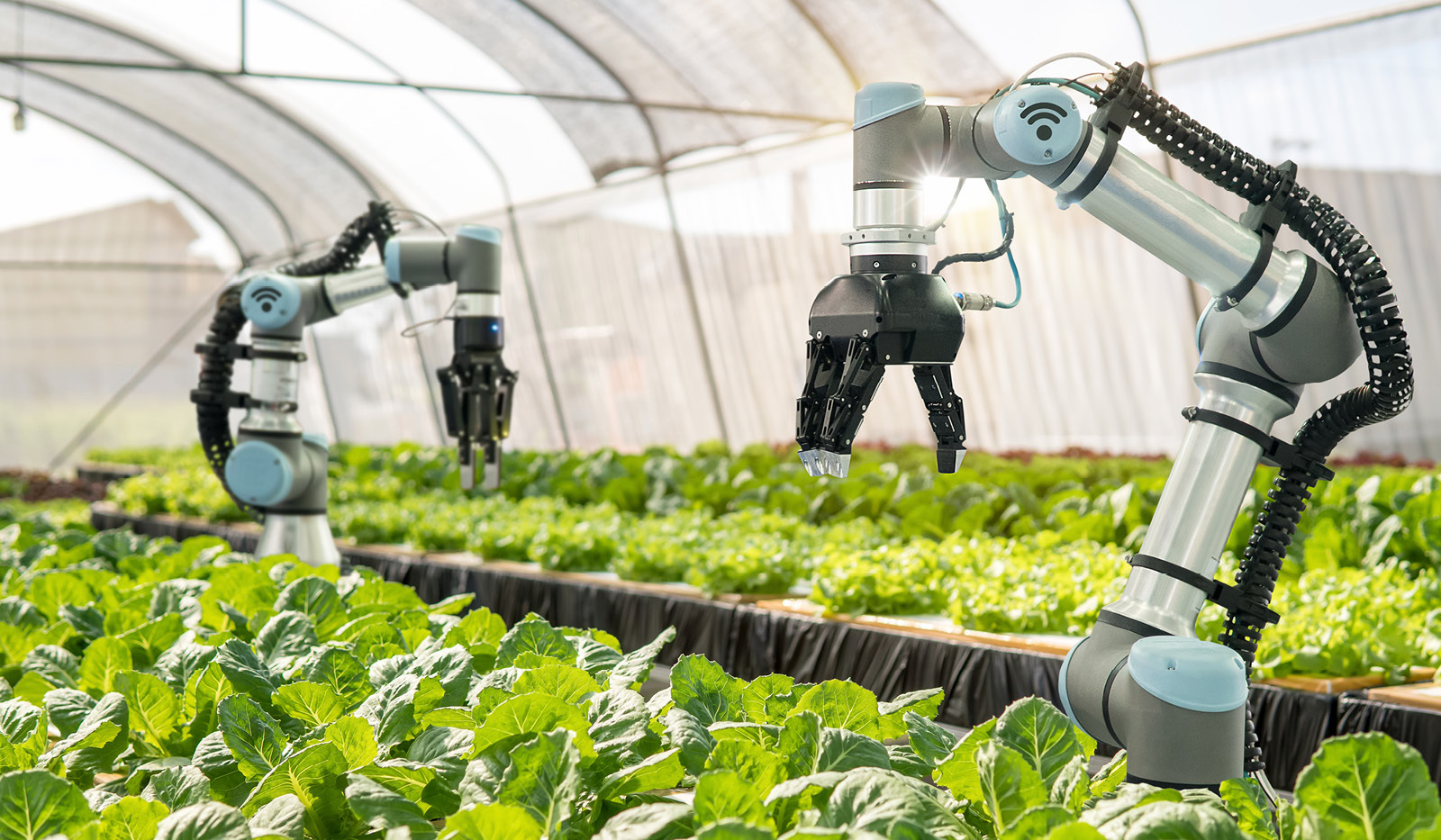 Smart Agriculture เกษตรอัจฉริยะที่เปลี่ยนชาวนาให้กลายเป็นนักวิเคราะห์ข้อมูล